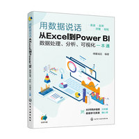 用数据说话：从Excel到Power BI数据处理、分析、可视化一本通