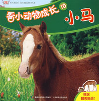 看小动物成长10：小马