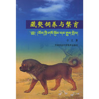 藏獒饲养与繁育