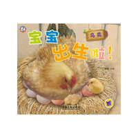 鸟类-宝宝出生啦!