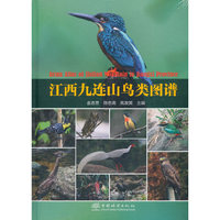 江西九连山鸟类图谱(精)