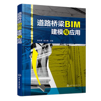 道路桥梁BIM建模与应用（林永清）