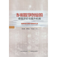 乡村数字创业的绩效评价与提升机制