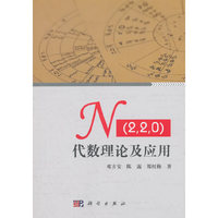 N(2,2,0)代数理论及应用