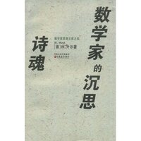 诗魂数学家的沉思(数学家思想文库)