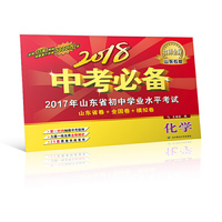 2018中考必备（山东专版）化学