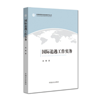 国际追逃工作实务