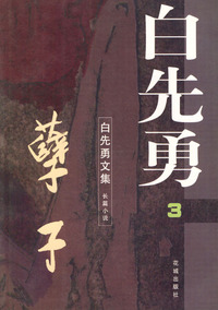 白先勇文集3---孽子