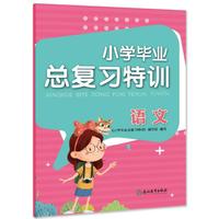 小学毕业总复习特训 语文