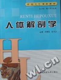 人体解剖学
