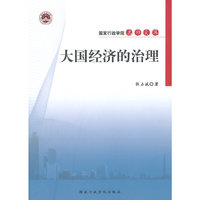 大国经济的治理