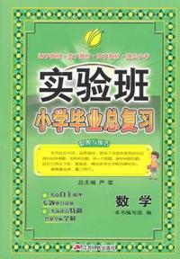 实验班小学毕业总复习 数学 小学