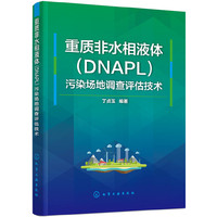 重质非水相液体（DNAPL）污染场地调查评估技术