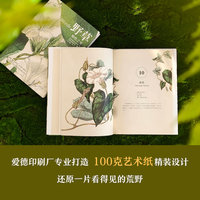 野草:野性之美（“天际线”丛书）