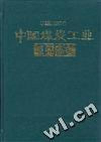 中国煤炭工业年鉴(1991)