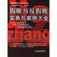 假帐与反假帐实务与案例大全