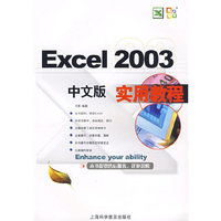 Excel2003中文版实用教程