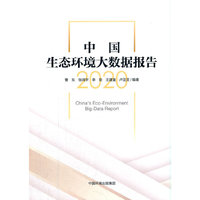 中国生态环境大数据报告.2020