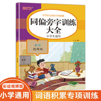 同偏旁字训练大全 小学语文词语专项训练一本通 人教版小学通用基础知识词语字词积累手册