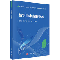 数字抽水蓄能电站