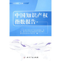 中国知识产权指数报告