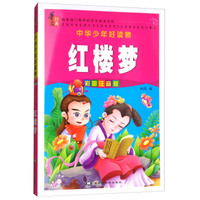 红楼梦（彩图注音版）/中华少年好读物