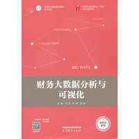 财务大数据分析与可视化