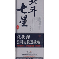 总代理公司定位及战略 8碟(VCD)