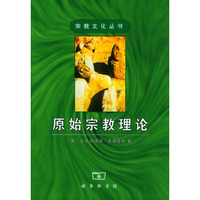 原始宗教理论/宗教文化丛书