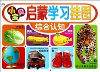 综合认知-小宝贝启蒙学习挂图
