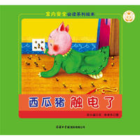 《室内安全必读系列绘本?西瓜猪触电了》