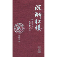 沉醉红楼