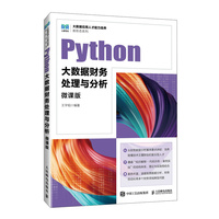 Python大数据财务处理与分析（微课版）