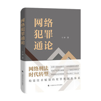 网络犯罪通论 于冲著 网络犯罪基本理论 网络犯罪的演变历程异化特征 刑法立法 司法解释