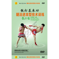 散打基本功：腿法进攻型技术训练（DVD）