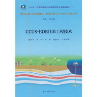 CCUS-EOR注采工程技术