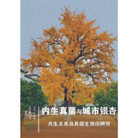 内生真菌与城市银杏共生关系及其促生效应研究