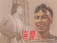 海鹰