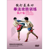 散打基本功：拳法攻防训练（DVD）