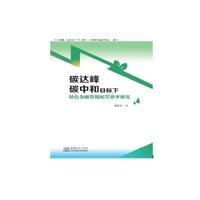 碳达峰、碳中和目标下绿色金融资源配置效率研究
