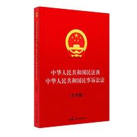 中华人民共和国民法典 中华人民共和国民事诉讼法（大字版）