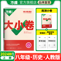2025大小卷八年级上-历史