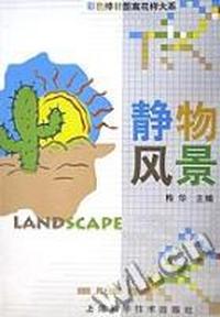 静物风景