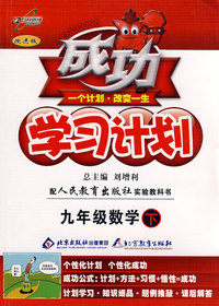 成功学习计划：九年级数学 下（人教版）