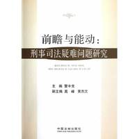 前瞻与能动:刑事司法疑难问题研究