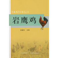岩鹰鸡