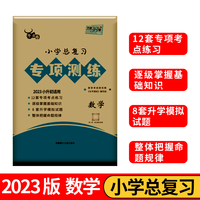 2023小学总复习专项测练 数学 天利38套