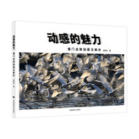 动感的魅力：慢门追随拍摄法解析