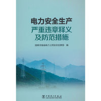 电力安全生产严重违章释义及防范措施