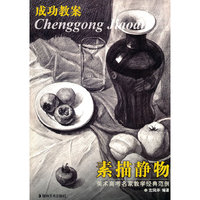 美术高考名家教学经典范例 成功教案 素描静物